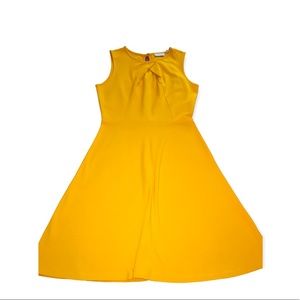 New York & Company Skater Dress